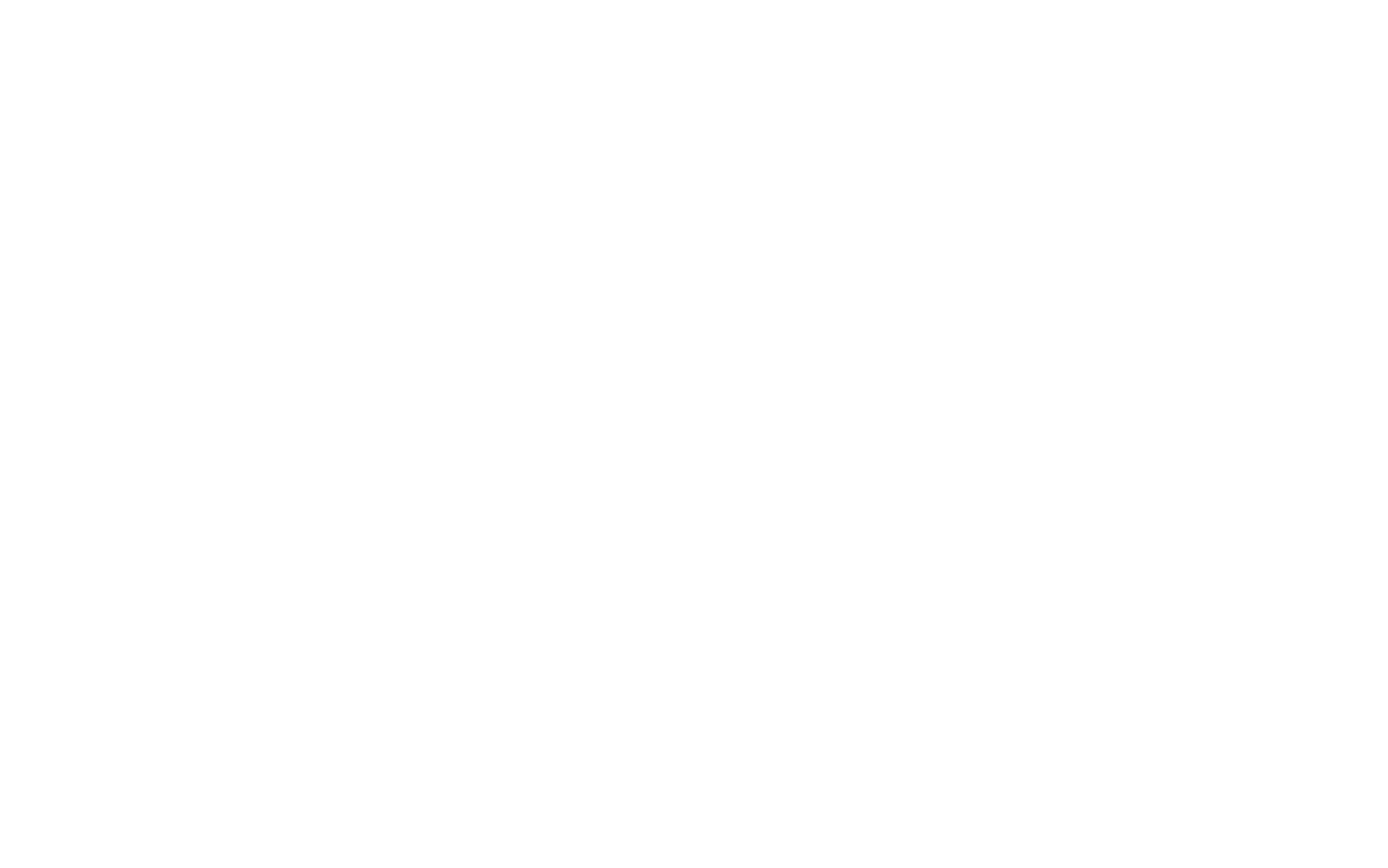 Ally Logo